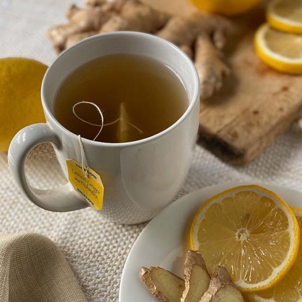 (lỢi khuẨn probiotics) usa trà túi lọc lemon ginger plus probiotics herbal tea (18 túi lọc)